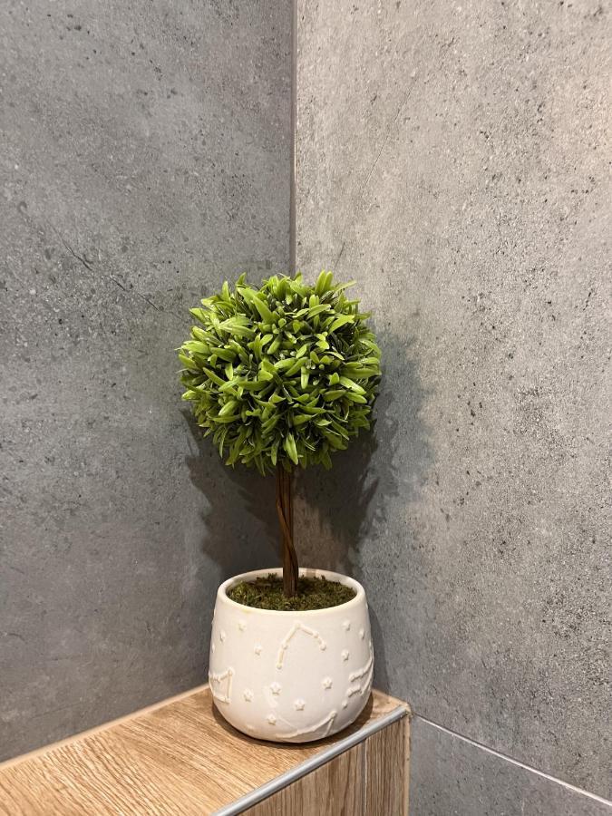 كراكوفيا Amber Guest Rooms المظهر الخارجي الصورة